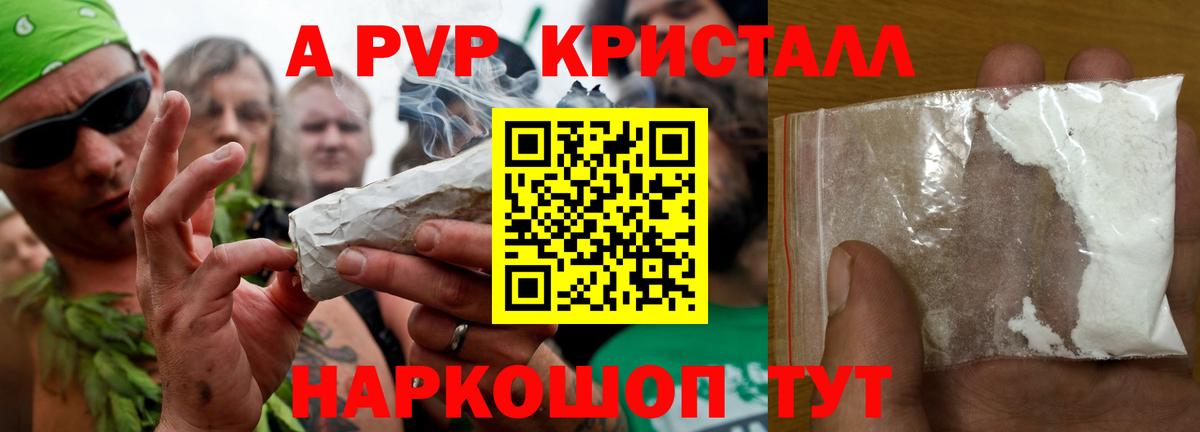 А ПВП СК Бийск