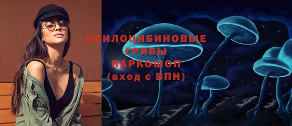 дмт Аркадак