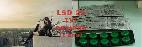 PSILOCYBIN Нефтегорск