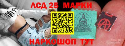 гидропоника Бердск