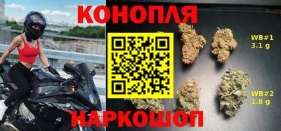 гидропоника Бердск