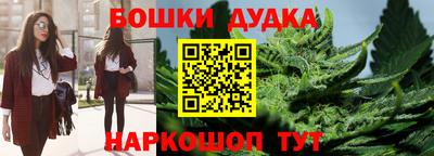 гидропоника Бердск