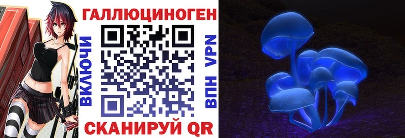 Галлюциногенные грибы MAGIC MUSHROOMS  сколько стоит  Бийск 