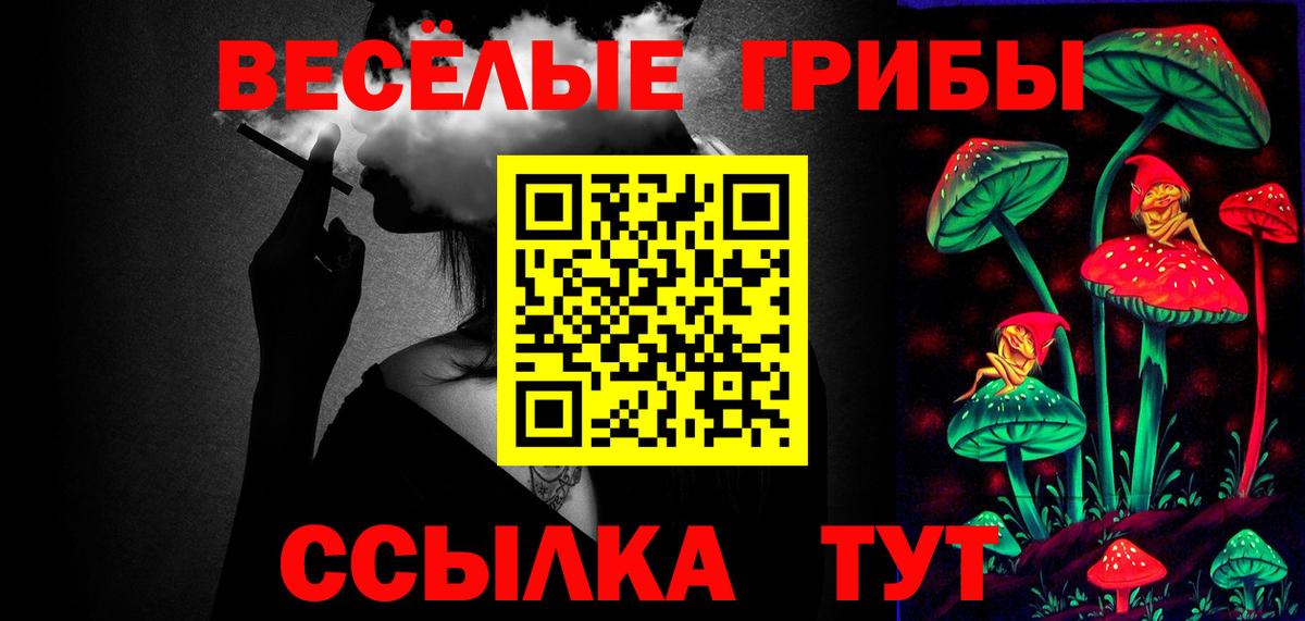 Бийск  Галлюциногенные грибы Cubensis  Вход с VPN 